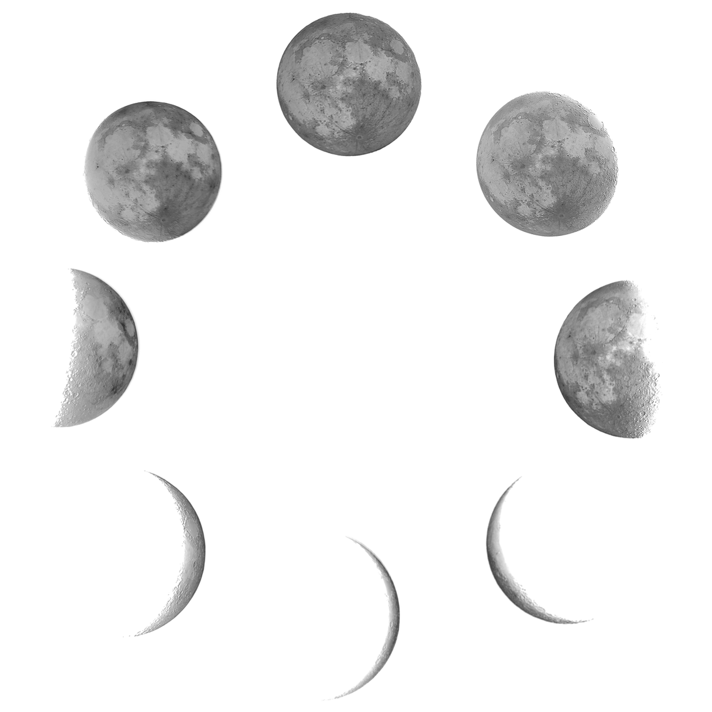 One complete lunar cycle photographed over a month, from new moon through full and back.